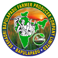 Seshadri Agro Exports company logo